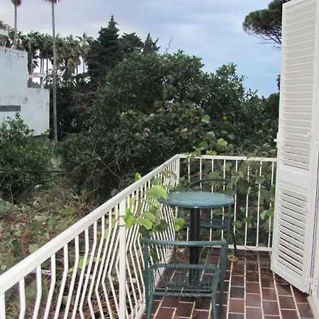 Zec Guest house 3*